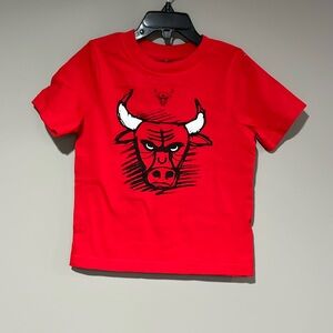 NBA Chicago Bulls toddler graphic tee NWT🏀